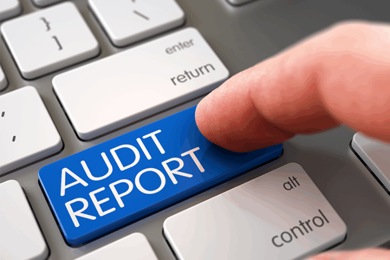 Auditreport mit HiScout